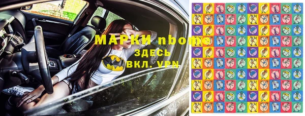 дживик Белокуриха