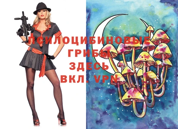гидропоника Беломорск