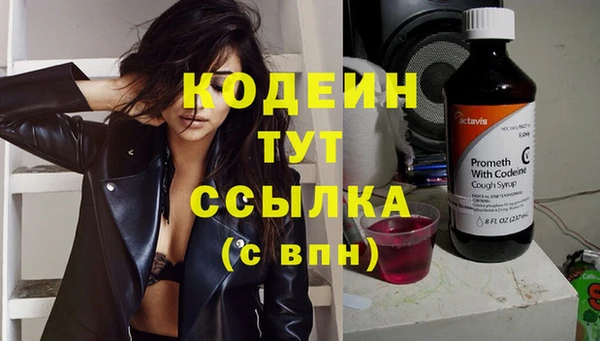 дживик Белокуриха