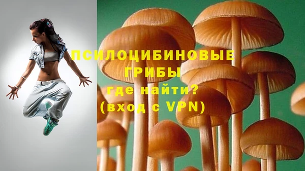 гидропоника Беломорск