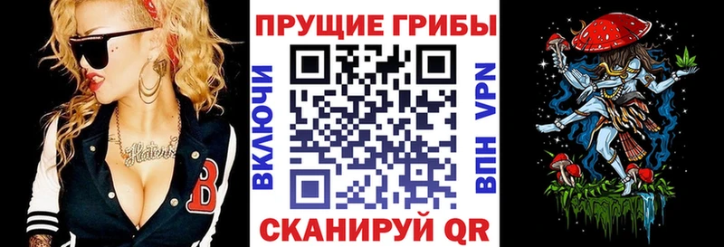 Галлюциногенные грибы мицелий нарко площадка наркотические препараты Луховицы гидра как войти